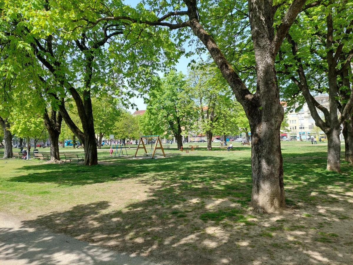 Ozzy Cozy Apartment Zagreb Bagian luar foto